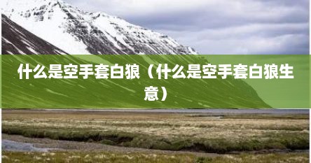 什么是空手套白狼（什么是空手套白狼生意）
