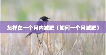 怎样在一个月内减肥（如何一个月减肥）