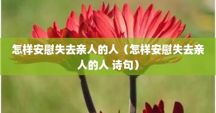 怎样安慰失去亲人的人（怎样安慰失去亲人的人 诗句）