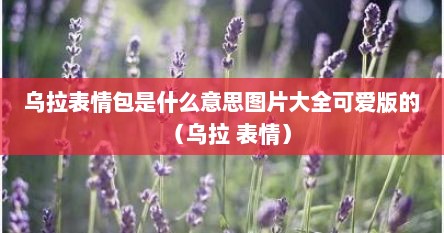 乌拉表情包是什么意思图片大全可爱版的（乌拉 表情）