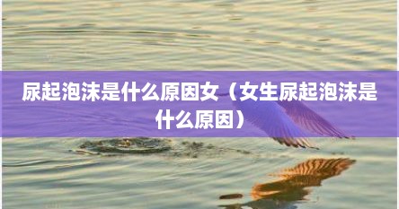 尿起泡沫是什么原因女（女生尿起泡沫是什么原因）