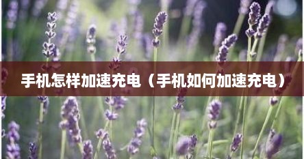 手机怎样加速充电（手机如何加速充电）