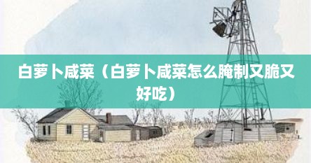 白萝卜咸菜（白萝卜咸菜怎么腌制又脆又好吃）