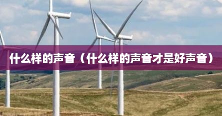 什么样的声音（什么样的声音才是好声音）
