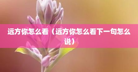 远方你怎么看（远方你怎么看下一句怎么说）