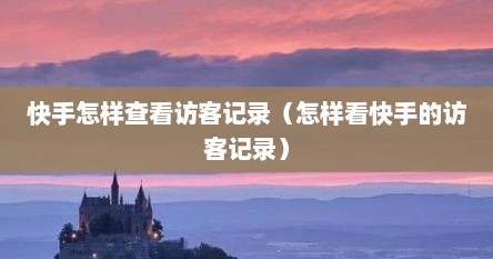 快手怎样查看访客记录（怎样看快手的访客记录）