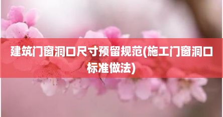 建筑门窗洞口尺寸预留规范(施工门窗洞口标准做法)
