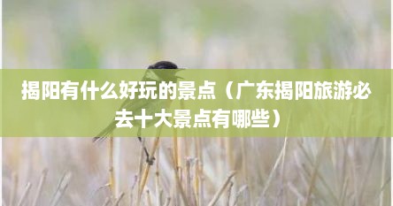 揭阳有什么好玩的景点（广东揭阳旅游必去十大景点有哪些）