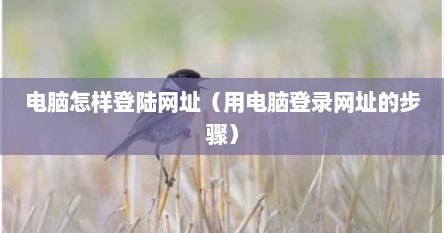 电脑怎样登陆网址（用电脑登录网址的步骤）