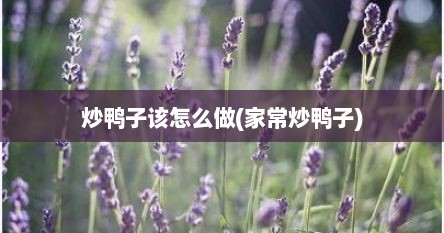 炒鸭子该怎么做(家常炒鸭子)