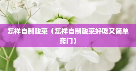 怎样自制酸菜（怎样自制酸菜好吃又简单窍门）