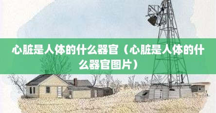 心脏是人体的什么器官（心脏是人体的什么器官图片）