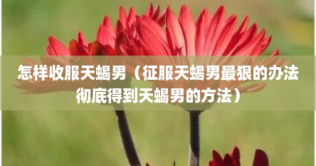 怎样收服天蝎男（征服天蝎男最狠的办法彻底得到天蝎男的方法）
