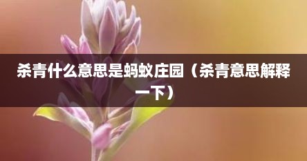 杀青什么意思是蚂蚁庄园（杀青意思解释一下）