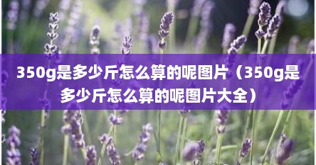 350g是多少斤怎么算的呢图片（350g是多少斤怎么算的呢图片大全）