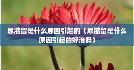 尿潴留是什么原因引起的（尿潴留是什么原因引起的好治吗）