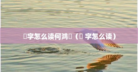 燊字怎么读何鸿燊（燊 字怎么读）