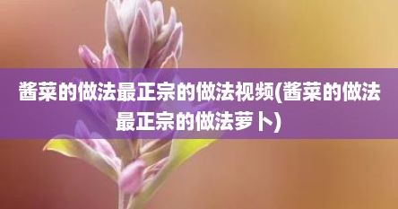 酱菜的做法最正宗的做法视频(酱菜的做法最正宗的做法萝卜)