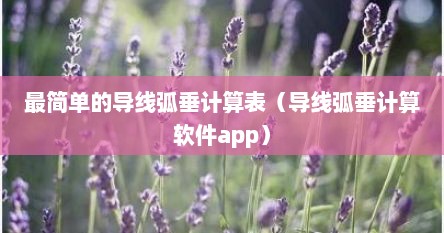 最简单的导线弧垂计算表（导线弧垂计算软件app）