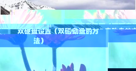 双硬盘设置（双硬盘设置SSD启动盘的方法）