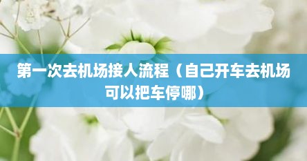 第一次去机场接人流程（自己开车去机场可以把车停哪）