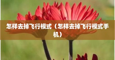怎样去掉飞行模式（怎样去掉飞行模式手机）