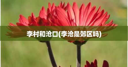 李村和沧口(李沧是郊区吗)