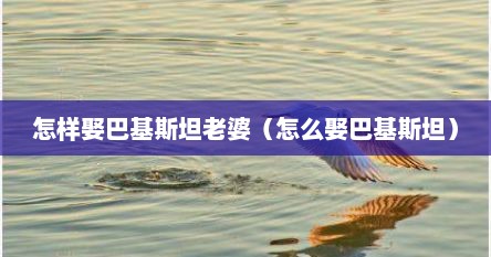 怎样娶巴基斯坦老婆（怎么娶巴基斯坦）