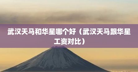 武汉天马和华星哪个好（武汉天马跟华星工资对比）