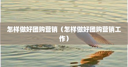 怎样做好团购营销（怎样做好团购营销工作）