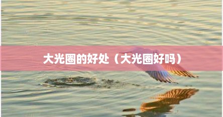 大光圈的好处（大光圈好吗）