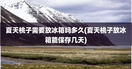 夏天桃子需要放冰箱吗多久(夏天桃子放冰箱能保存几天)