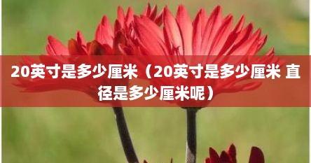 20英寸是多少厘米（20英寸是多少厘米 直径是多少厘米呢）