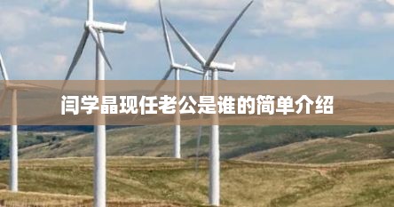 闫学晶现任老公是谁的简单介绍