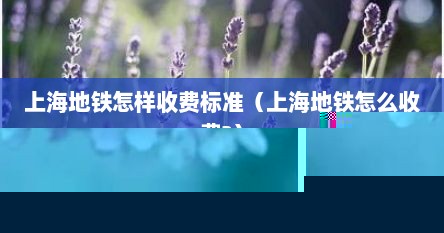 上海地铁怎样收费标准（上海地铁怎么收费?）