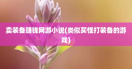 卖装备赚钱网游小说(类似买怪打装备的游戏)