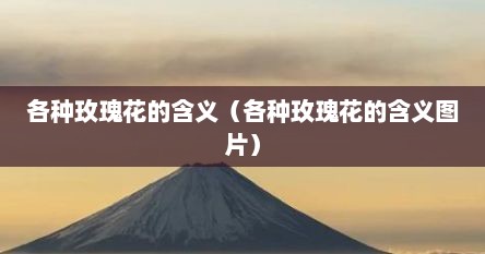 各种玫瑰花的含义（各种玫瑰花的含义图片）