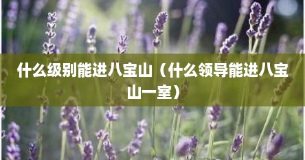 什么级别能进八宝山（什么领导能进八宝山一室）