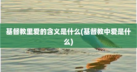 基督教里爱的含义是什么(基督教中爱是什么)