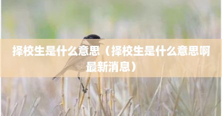 择校生是什么意思（择校生是什么意思啊最新消息）