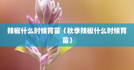 辣椒什么时候育苗（秋季辣椒什么时候育苗）