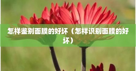 怎样鉴别面膜的好坏（怎样识别面膜的好坏）