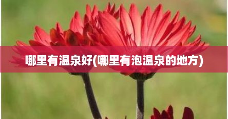 哪里有温泉好(哪里有泡温泉的地方)