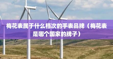 梅花表属于什么档次的手表品牌（梅花表是哪个国家的牌子）