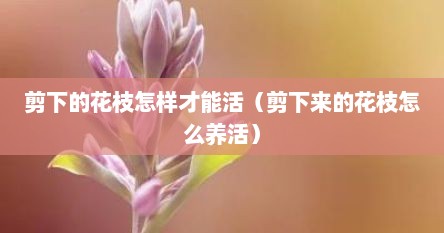 剪下的花枝怎样才能活（剪下来的花枝怎么养活）