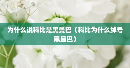 为什么说科比是黑曼巴（科比为什么绰号黑曼巴）