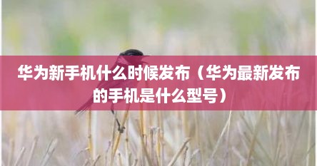 华为新手机什么时候发布（华为最新发布的手机是什么型号）