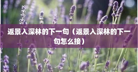 返景入深林的下一句（返景入深林的下一句怎么接）