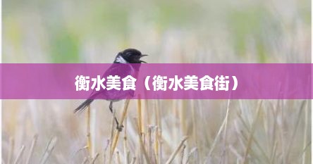 衡水美食（衡水美食街）
