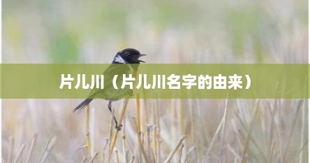 片儿川（片儿川名字的由来）